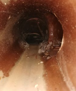 ​NETTOYAGE DE VOTRE PLOMBERIE